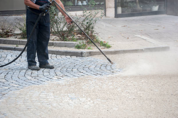 Best Fence Cleaning  in Potomac Park, CA