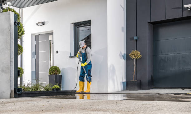 Best Roof Washing  in Potomac Park, CA